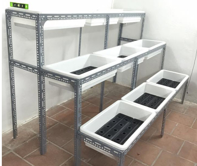 Hướng dẫn làm hệ thống Aquaponics tại nhà - Obi.vn (4)