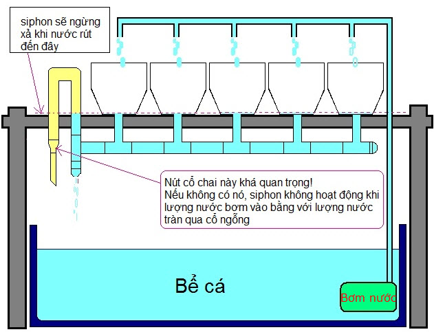 Hướng dẫn làm hệ thống Aquaponics tại nhà - Obi.vn (5)